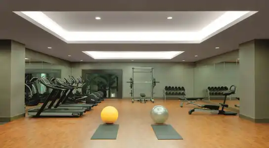 Radisson Collection Muscat, Hormuz Grand - 9