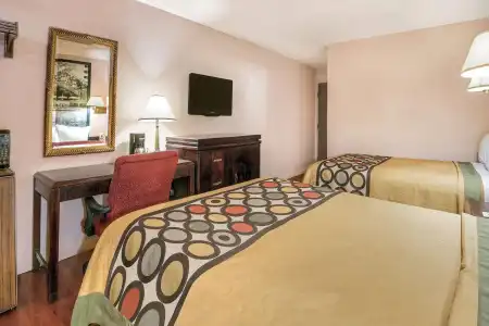 Super 8 by Wyndham San Antonio/I-35 North - 3