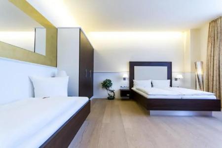 The Heidelberg Exzellenz - 33