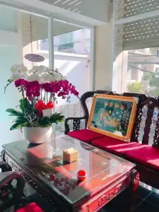 Thanh Vinh - 10