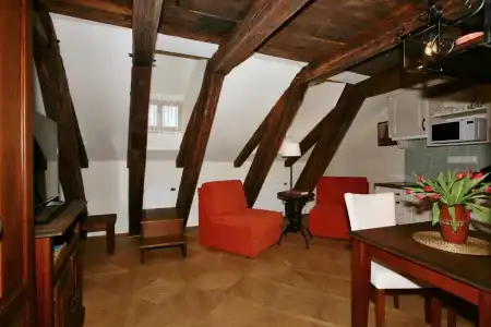 Residence U Mecenáše - 80