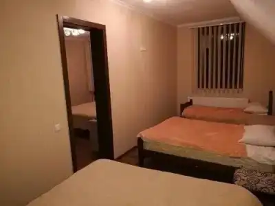 Guest House Borjomi Forest - 3