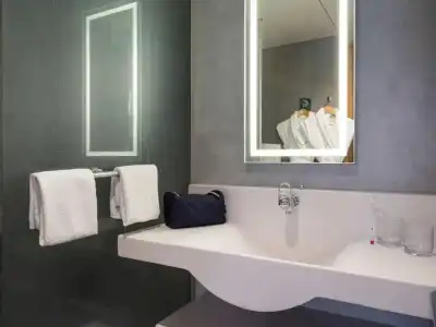 Novotel Lausanne Bussigny - 73