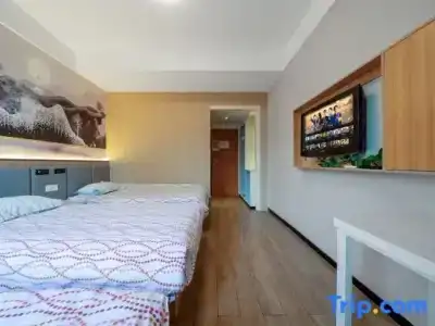 Four Seasons Fenglin (Shanghai Minhang Jiangchuan Road) - 11
