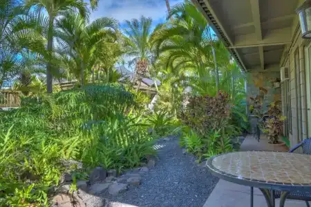 Kohea Kai Maui - 72
