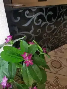 Ak Kalpak Guest House - 11