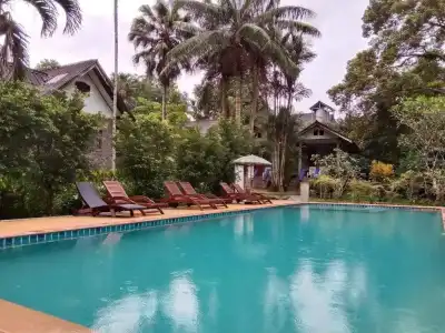 Tree Top River Huts - 82
