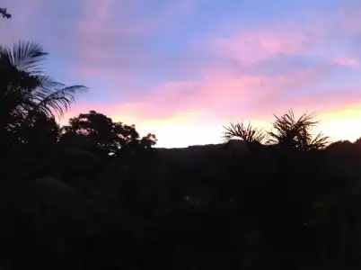 A Peace in Paradise - 12