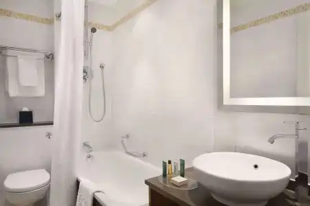 DoubleTree by Hilton Brighton Metropole - 9