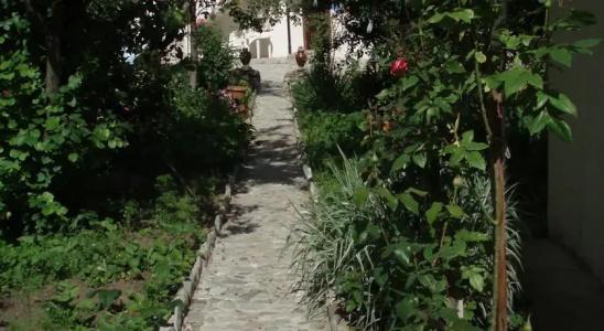 Nina B&B - 13