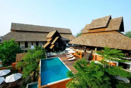 Rainforest Chiangmai - 101