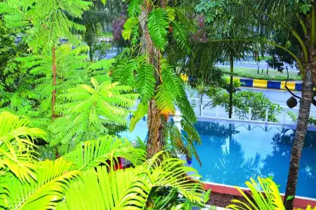 Tropical Hill Kep - 13