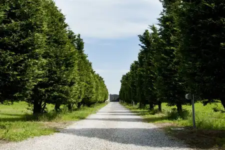 Il Giardino di Rebecca Mini - 2