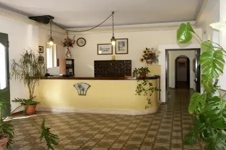 delle Palme - 1
