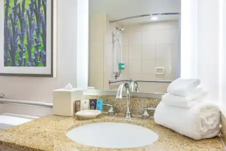 Crowne Plaza NEW ORLEANS FRENCH QTR - ASTOR by IHG - 39