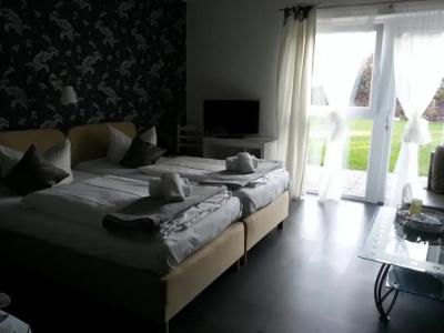 Lieth-Hotel-Grünreich - 88