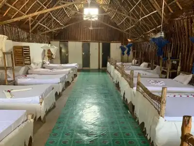 New Jambo Bungalows - 11