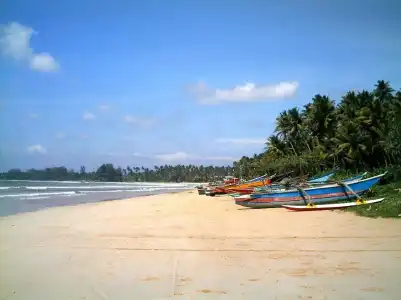 Weligama Ocean Breeze - 8