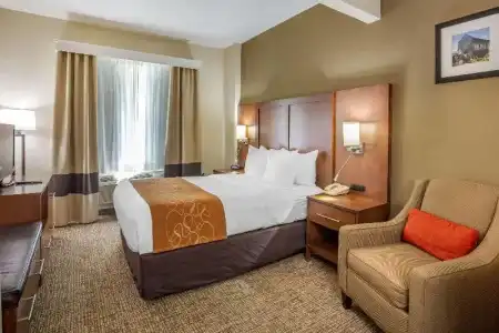 Comfort Suites Raleigh Walnut Creek - 39