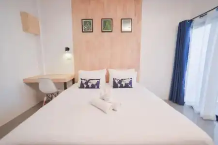 The Cozy - 50