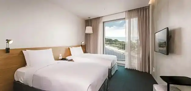 Nest, a Member of Designs - 67