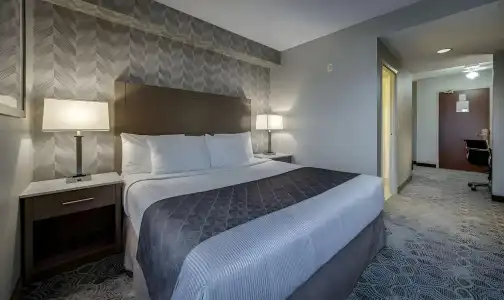 Monte Carlo Inn Toronto - Markham - 31