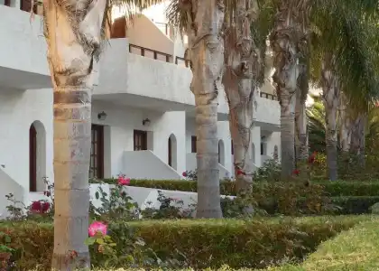 Sentido Kyknos Beach Adults Only - 57