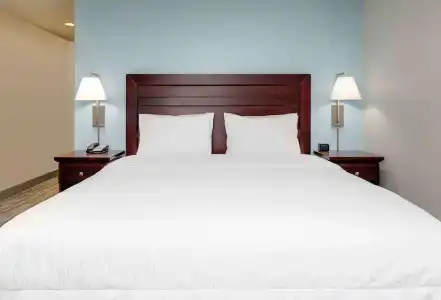 Hampton Inn & Suites Dallas-Arlington-South - 74
