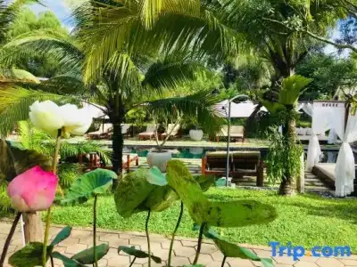 Sahaa Beach Resort - 114