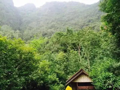 Khao Sok Green Mountain View - 3