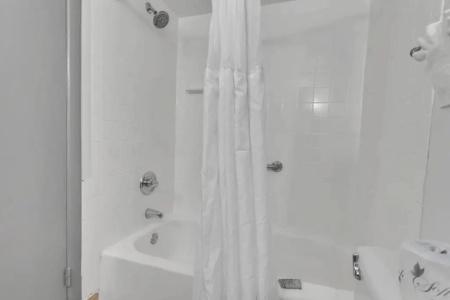 Best Western Orlando Gateway - 63