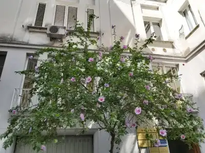 Vittoria Guest House - Salerno - 0