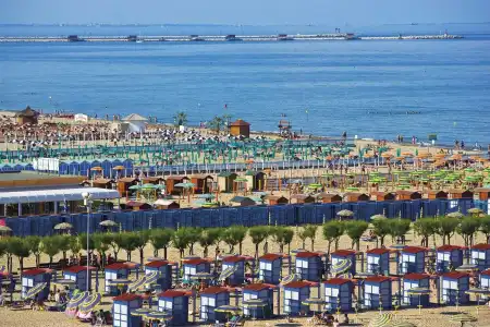 Ragno D'Oro - 8