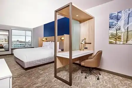 SpringHill Suites by Marriott Chicago Chinatown - 58