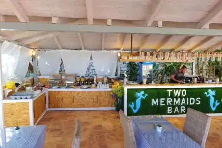 Two Mermaids - 20