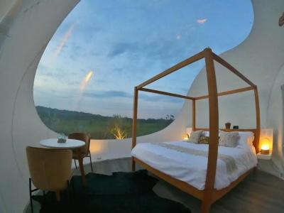 Green Land Bubble Glamping - 31