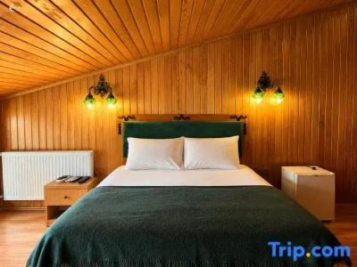Ayder Doga Resort - 16
