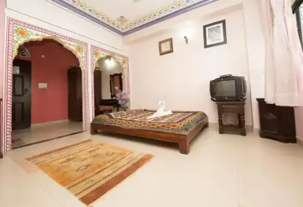Moon Light Palace Jaipur - 135