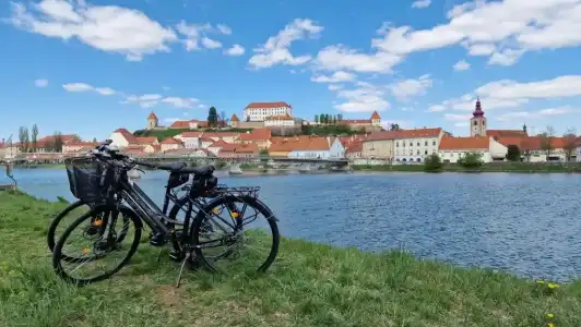 Pomaranča - 29