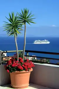 Tui Blue Gardens - Adults Only - Savoy Signature - 21