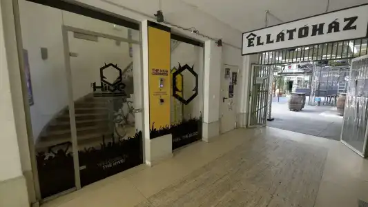 The Hive Party Hostel - 18
