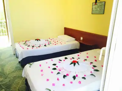 Paradise - 3