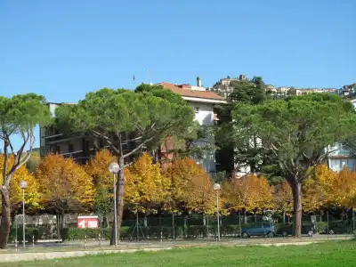 Torretta - 16
