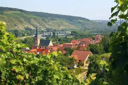 Müller Café & Wein - Mondholzhotel - 14