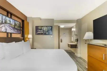 Best Western Queens Gold Coast - 68