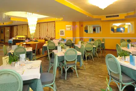 Alexander - 14