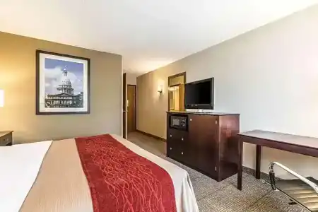 Comfort Inn Lansing West - 42