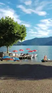 Elvezia Ascona - 8