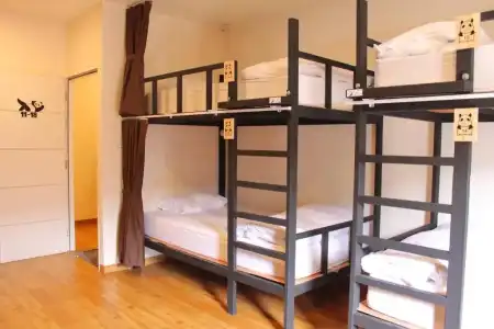 Mad Panda Hostel - 31