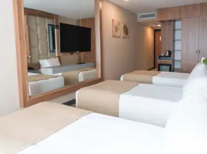 Four Sides Taksim Lion&Spa - 2